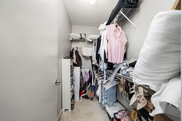 1070 W 15th St Unit 403, Chicago, IL 60608 - walk in closet with carpet flooring