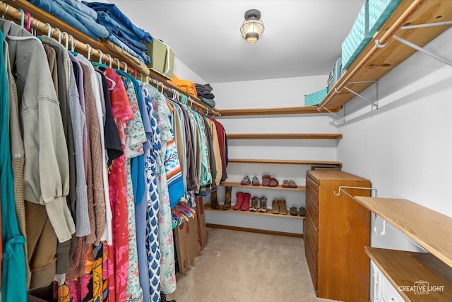 walk in closet with carpet flooring