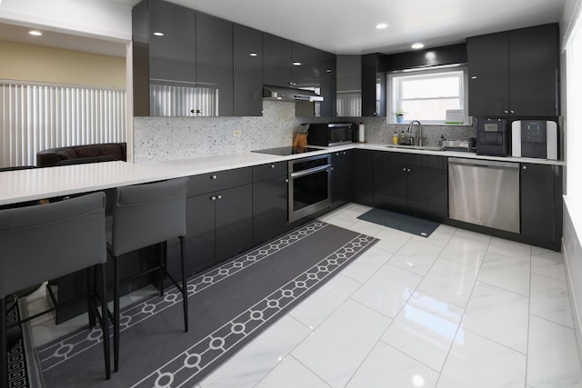 kitchen with a sink, dark cabinets, under cabinet range hood, and appliances with stainless steel finishes