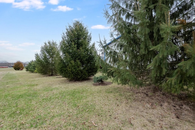 2956 Welland Rd, Earlville, IL 60518 - view of nature