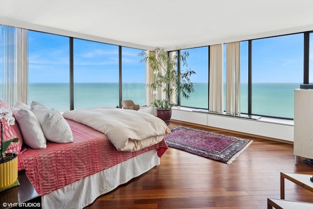 bedroom featuring a water view, wood finished floors, and multiple windows