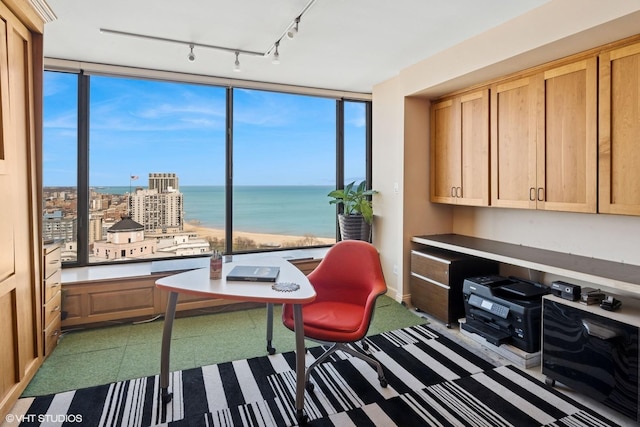 office space featuring expansive windows, rail lighting, a water view, and plenty of natural light