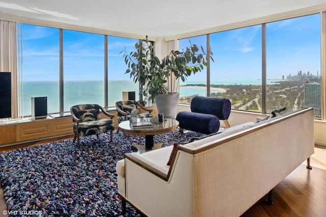 living room with wood finished floors, plenty of natural light, and a water view