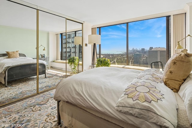 bedroom featuring a closet and a city view