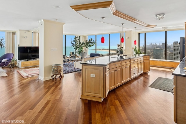 kitchen featuring wood finished floors, healthy amount of natural light, decorative light fixtures, a kitchen island with sink, and floor to ceiling windows