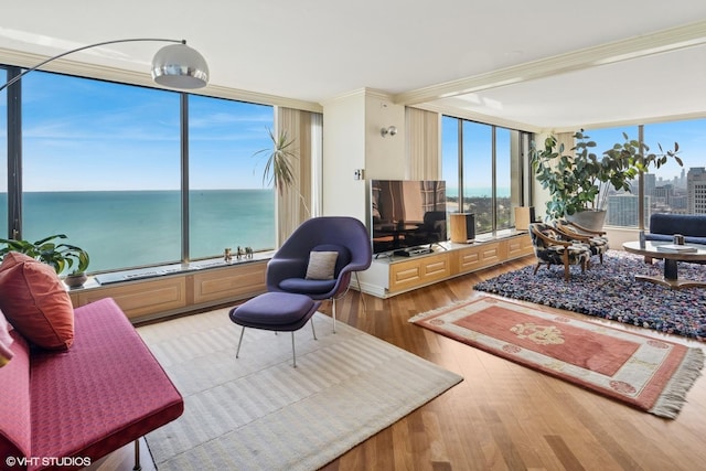 living area featuring floor to ceiling windows and wood finished floors