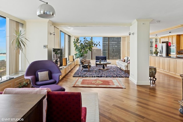 living area featuring crown molding and wood finished floors