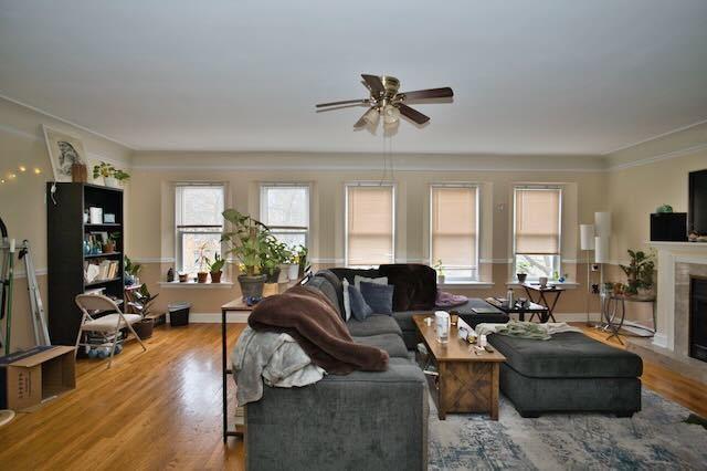 6237 N Mozart St, Chicago, IL 60659 - living room featuring a ceiling fan, plenty of natural light, wood finished floors, and a fireplace