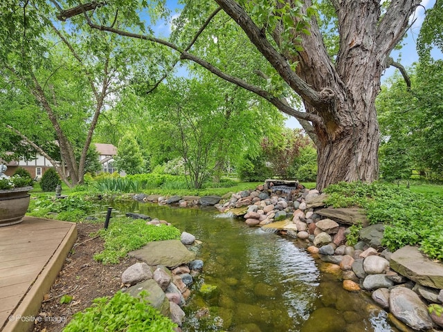 2 Stirrup Cup Ct, Saint Charles, IL 60174 - view of yard