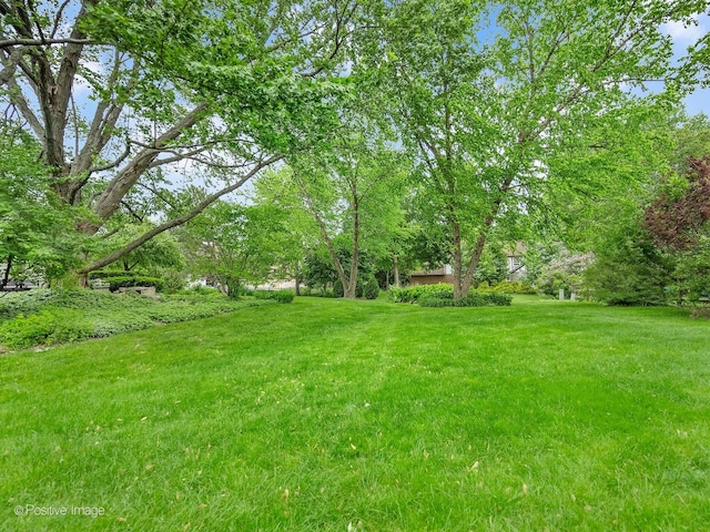 2 Stirrup Cup Ct, Saint Charles, IL 60174 - view of grassy yard