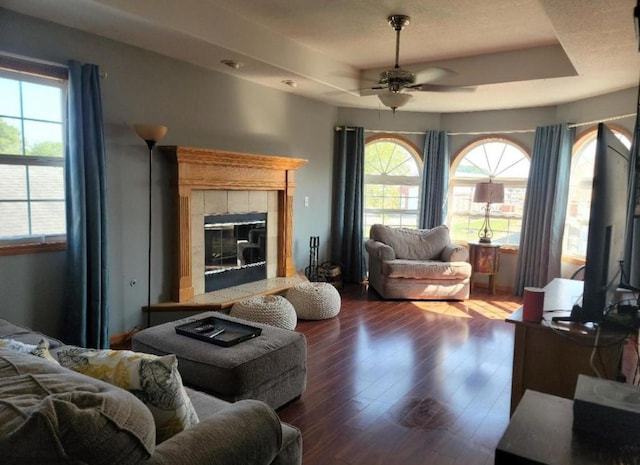 175 Mulberry St, Manteno, IL 60950 - living area with a raised ceiling, a ceiling fan, healthy amount of natural light, and wood finished floors