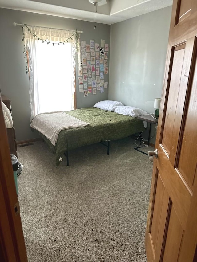 175 Mulberry St, Manteno, IL 60950 - bedroom featuring carpet