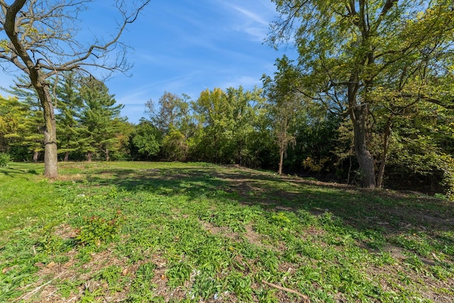 278 W Illinois Ave, Palatine, IL 60067 - view of yard with a wooded view