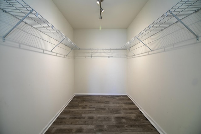 spacious closet with dark wood finished floors