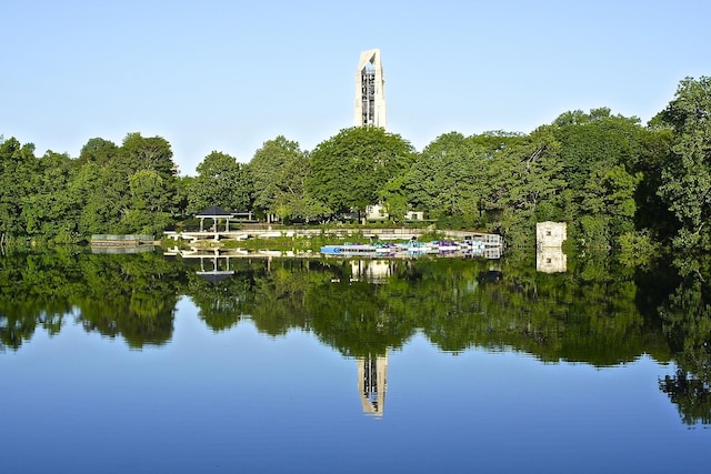 1583 Pine Lake Dr, Naperville, IL 60564 - water view featuring a forest