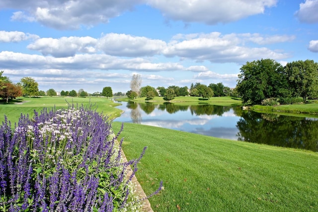 1583 Pine Lake Dr, Naperville, IL 60564 - water view