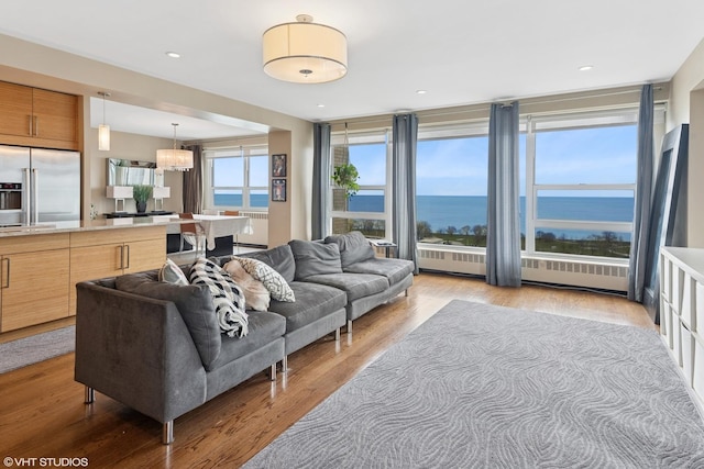 3180 N Lake Shore Dr Unit 15A, Chicago, IL 60657 - living area with light wood-style floors and a water view