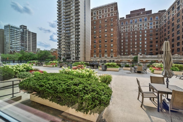 3180 N Lake Shore Dr Unit 15A, Chicago, IL 60657 - view of community with a view of city