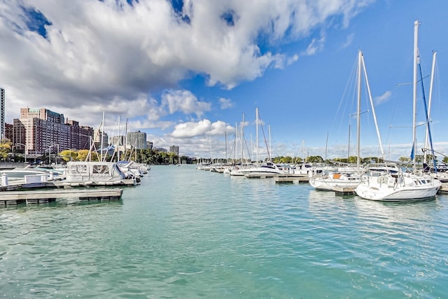 3180 N Lake Shore Dr Unit 15A, Chicago, IL 60657 - property view of water with a dock