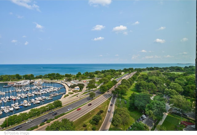 3180 N Lake Shore Dr Unit 15A, Chicago, IL 60657 - aerial view featuring a water view