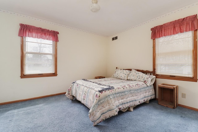 108 N Chatham St, Danvers, IL 61732 - bedroom featuring baseboards and carpet floors