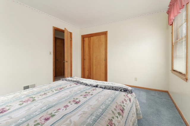 108 N Chatham St, Danvers, IL 61732 - unfurnished bedroom featuring baseboards, visible vents, a closet, and carpet floors