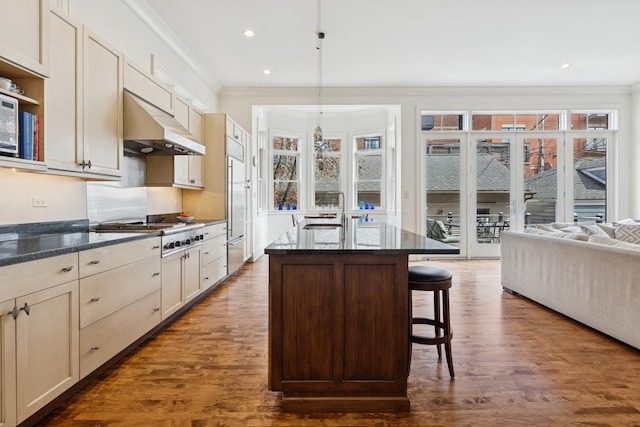 2735 N Dayton St, Chicago, IL 60614 - kitchen with under cabinet range hood, appliances with stainless steel finishes, a sink, ornamental molding, and dark wood-type flooring