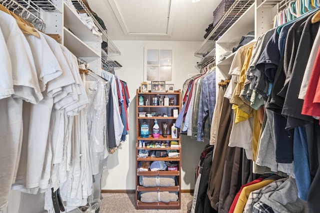 walk in closet with attic access and carpet