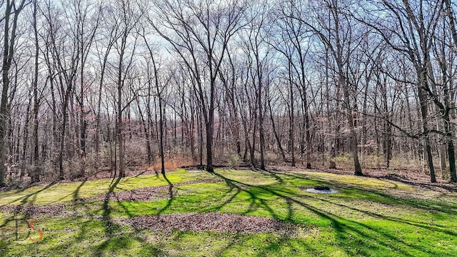 view of yard featuring a wooded view
