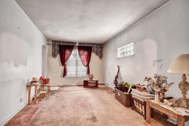 sitting room featuring carpet floors
