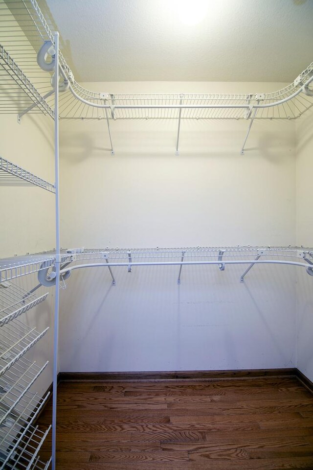 walk in closet with dark wood-style flooring