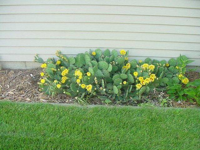 view of exterior details