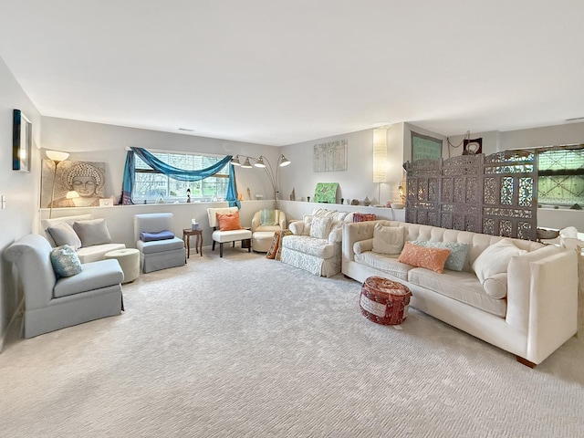 648 S Rosehall Ln, Round Lake, IL 60073 - view of carpeted living area