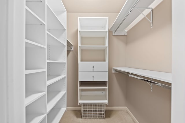 spacious closet with carpet
