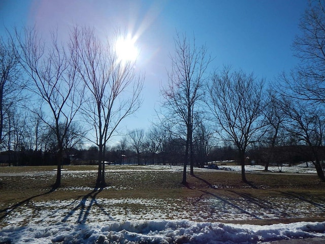view of yard covered in snow