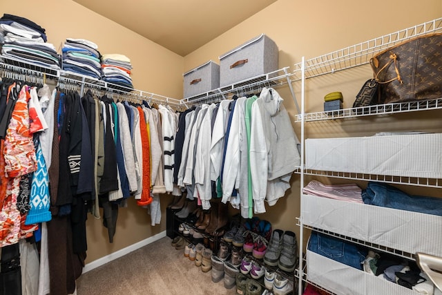 405 Ashbury Ln, Lemont, IL 60439 - spacious closet with carpet