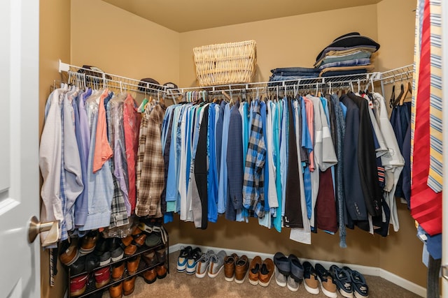 405 Ashbury Ln, Lemont, IL 60439 - spacious closet featuring carpet flooring