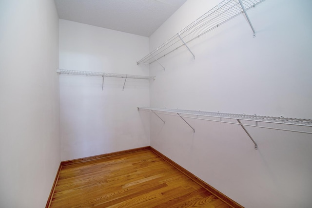 walk in closet featuring light wood-style floors