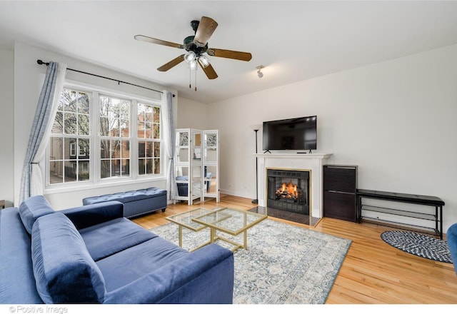 living room with a ceiling fan, a glass covered fireplace, and wood finished floors