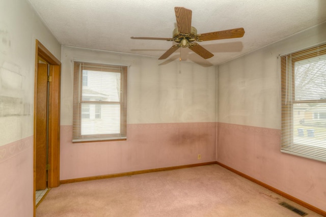 3902 Rose Ave, Western Springs, IL 60558 - empty room with plenty of natural light, light carpet, ceiling fan, and a textured ceiling