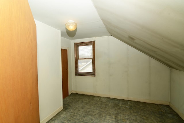 3902 Rose Ave, Western Springs, IL 60558 - bonus room with vaulted ceiling and carpet flooring