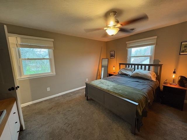 712 E Grant St, Watseka, IL 60970 - photo 15
