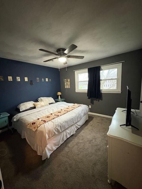 712 E Grant St, Watseka, IL 60970 - photo 21