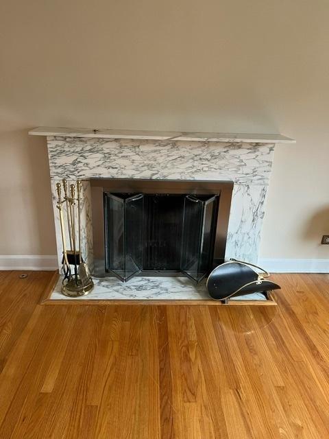 1911 N 73rd Ave N, Elmwood Park, IL 60707 - detailed view of a premium fireplace and wood finished floors