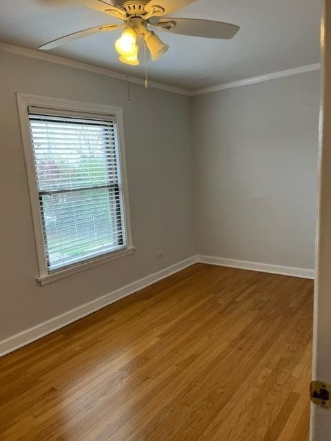 1911 N 73rd Ave N, Elmwood Park, IL 60707 - empty room featuring crown molding, ceiling fan, and wood finished floors
