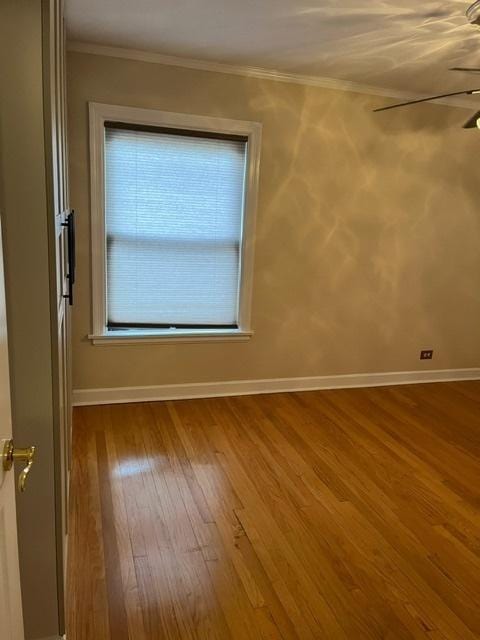 1911 N 73rd Ave N, Elmwood Park, IL 60707 - empty room featuring wood finished floors, ornamental molding, and ceiling fan