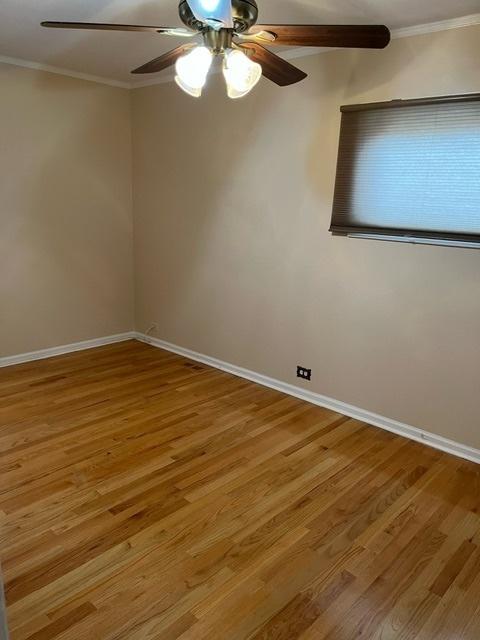1911 N 73rd Ave N, Elmwood Park, IL 60707 - unfurnished room featuring crown molding, ceiling fan, and light wood-style flooring