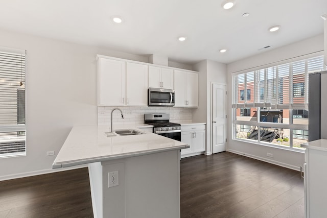 kitchen featuring a sink, dark wood-style flooring, a peninsula, and stainless steel appliances