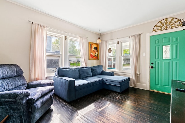 123 W York Ave, West Chicago, IL 60185 - living area featuring crown molding, dark wood-style floors, and a wealth of natural light