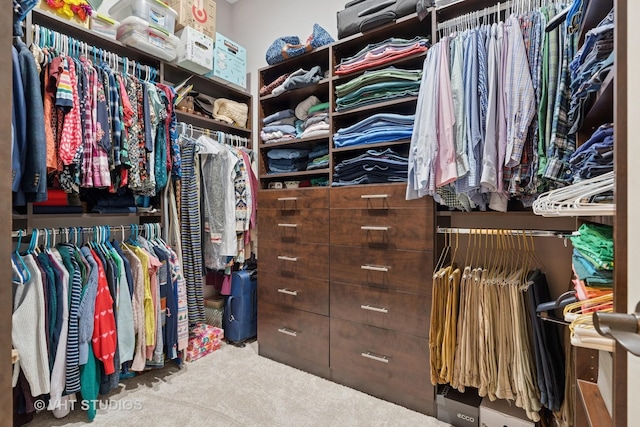 4845 N Damen Ave Unit 3S, Chicago, IL 60625 - walk in closet with carpet floors